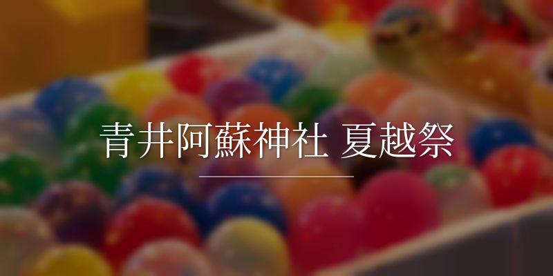青井阿蘇神社 夏越祭