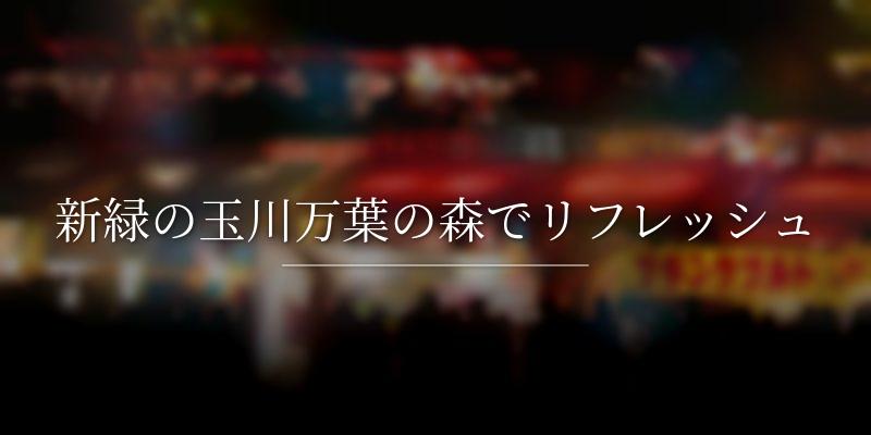 新緑の玉川万葉の森でリフレッシュ