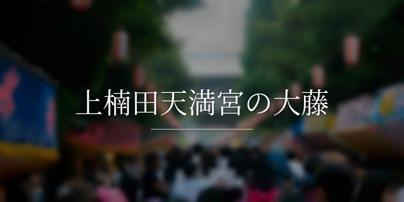 上楠田天満宮の大藤