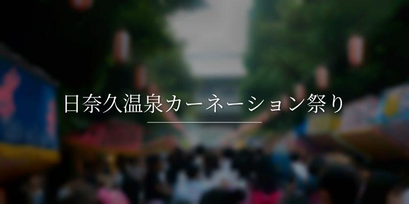 日奈久温泉カーネーション祭り