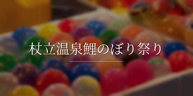杖立温泉鯉のぼり祭り