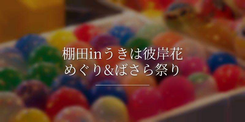 棚田inうきは彼岸花めぐり&ばさら祭り