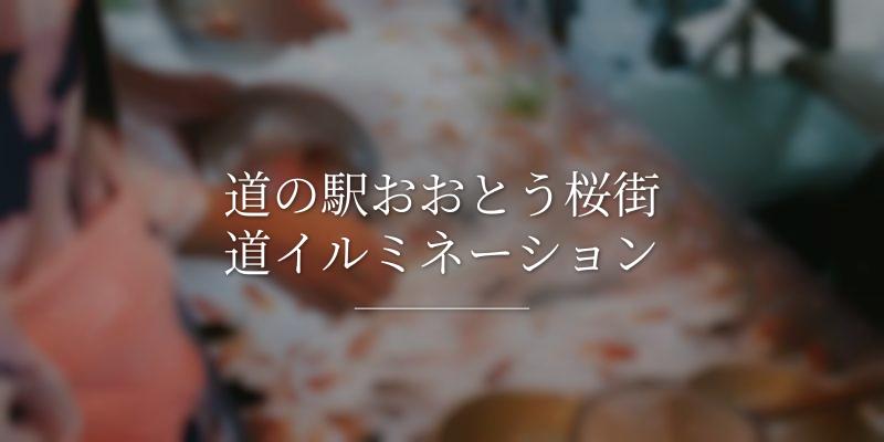 道の駅おおとう桜街道イルミネーション