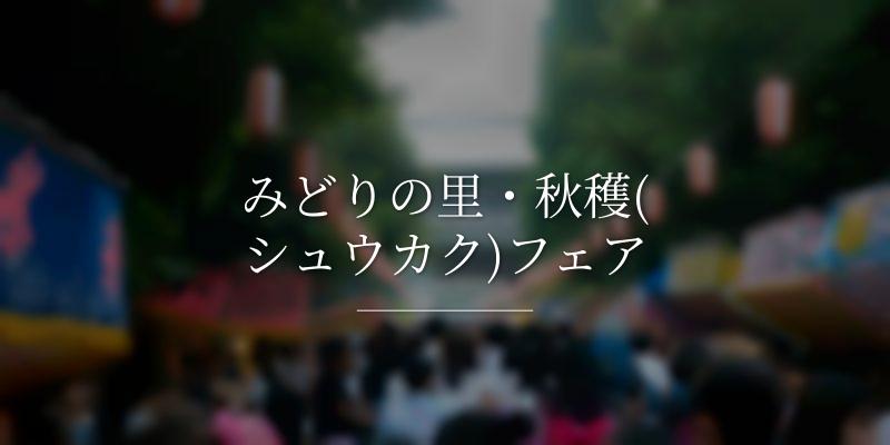 みどりの里・秋穫(シュウカク)フェア