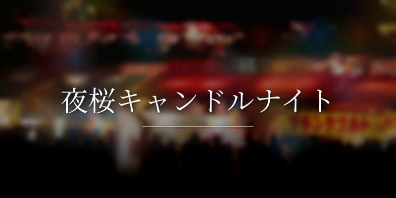 夜桜キャンドルナイト