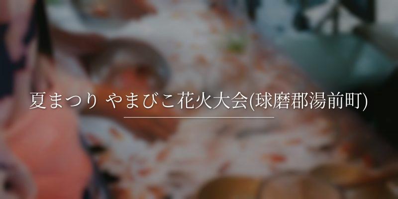 夏まつり やまびこ花火大会(球磨郡湯前町)