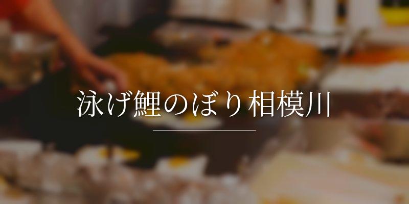 泳げ鯉のぼり相模川