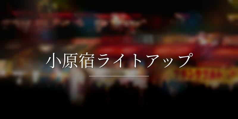 小原宿ライトアップ