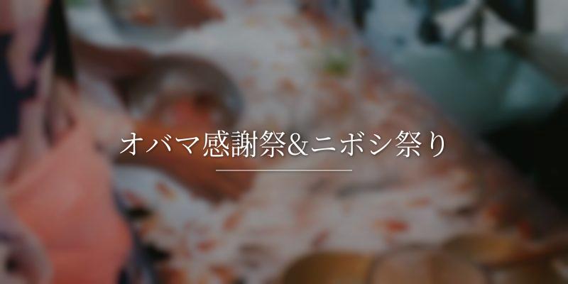 オバマ感謝祭&ニボシ祭り