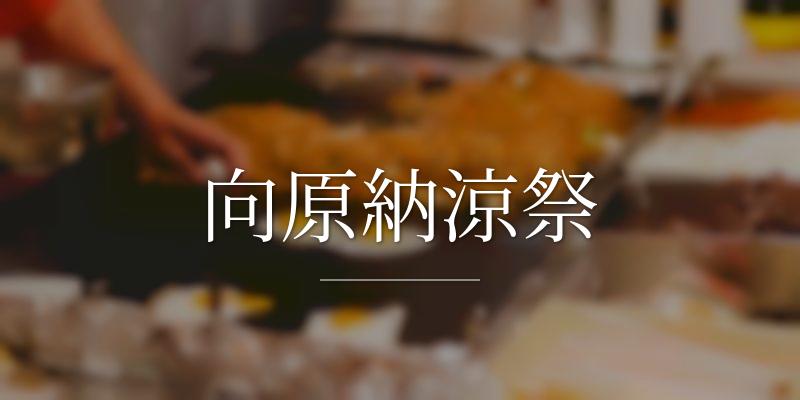 向原納涼祭