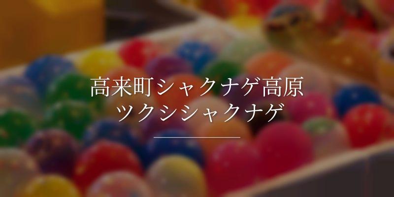 高来町シャクナゲ高原 ツクシシャクナゲ