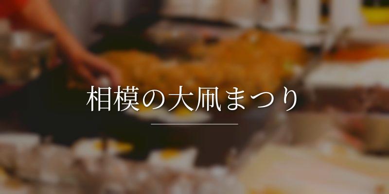 相模の大凧まつり