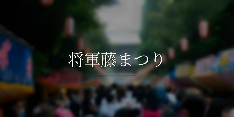 将軍藤まつり