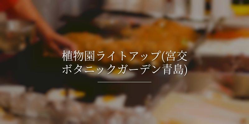 植物園ライトアップ(宮交ボタニックガーデン青島)