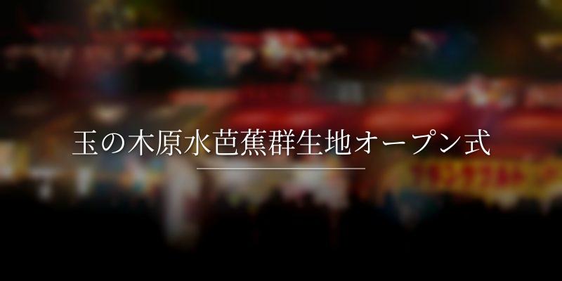 玉の木原水芭蕉群生地オープン式