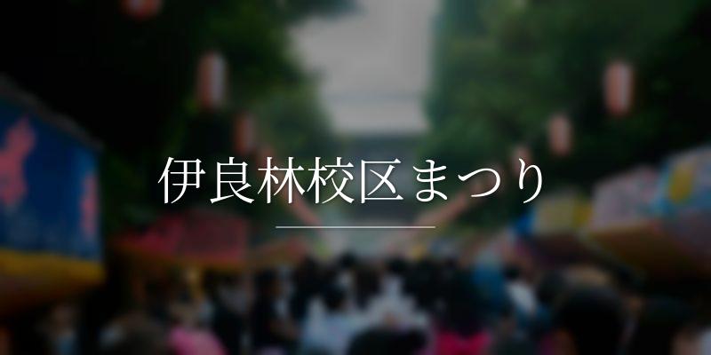 伊良林校区まつり