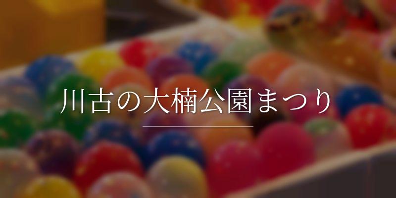 川古の大楠公園まつり
