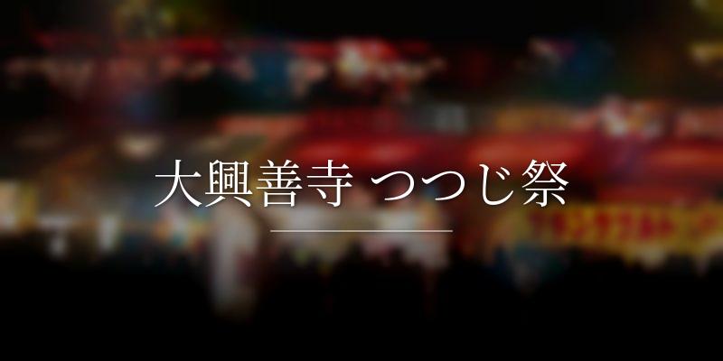大興善寺 つつじ祭