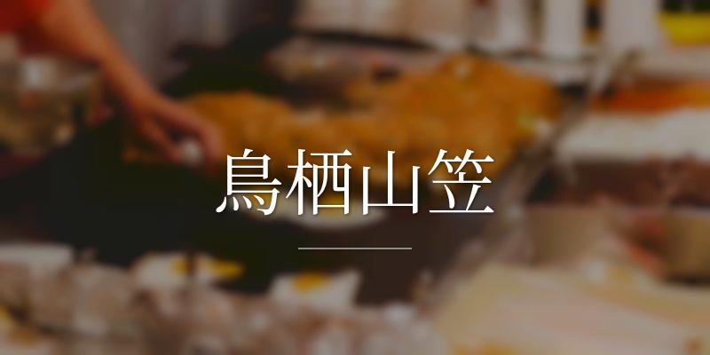 鳥栖山笠