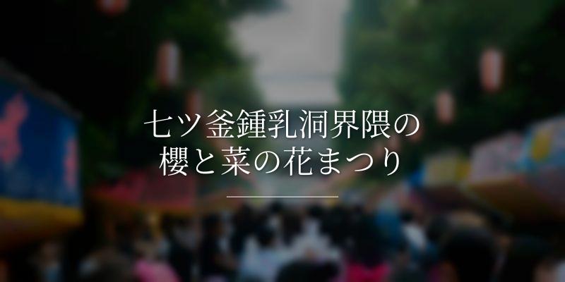 七ツ釜鍾乳洞界隈の櫻と菜の花まつり