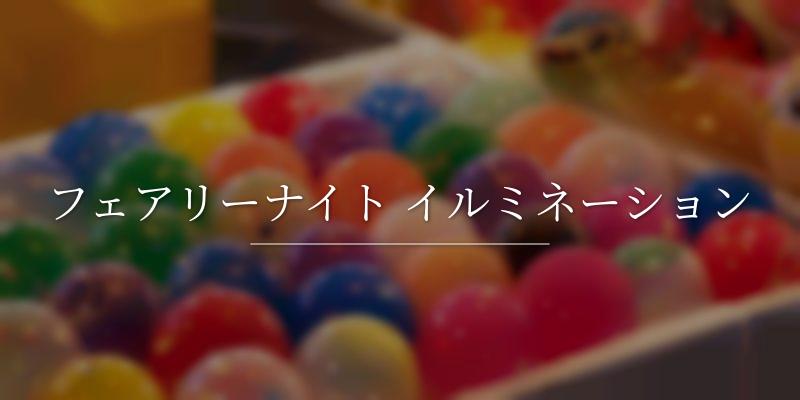 フェアリーナイト イルミネーション