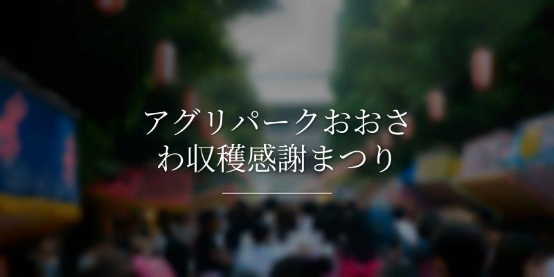 アグリパークおおさわ収穫感謝まつり