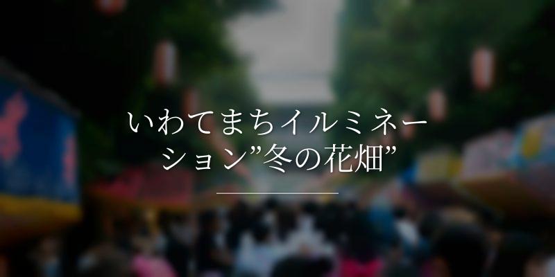 いわてまちイルミネーション”冬の花畑”