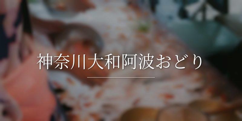 神奈川大和阿波おどり