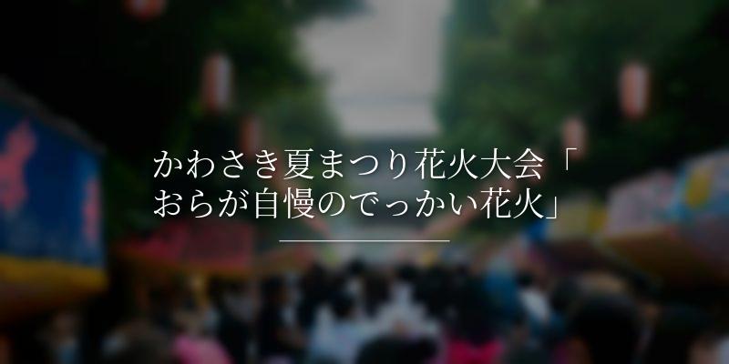 かわさき夏まつり花火大会「おらが自慢のでっかい花火」