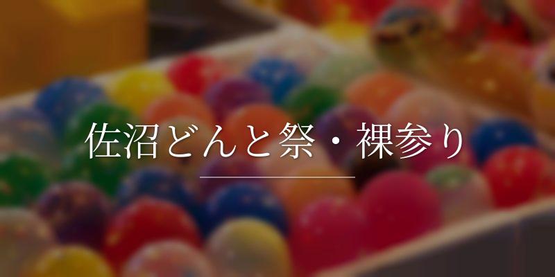 佐沼どんと祭・裸参り