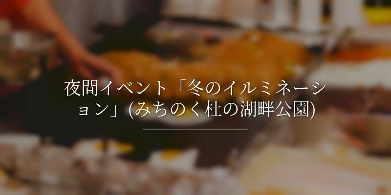 夜間イベント「冬のイルミネーション」(みちのく杜の湖畔公園)