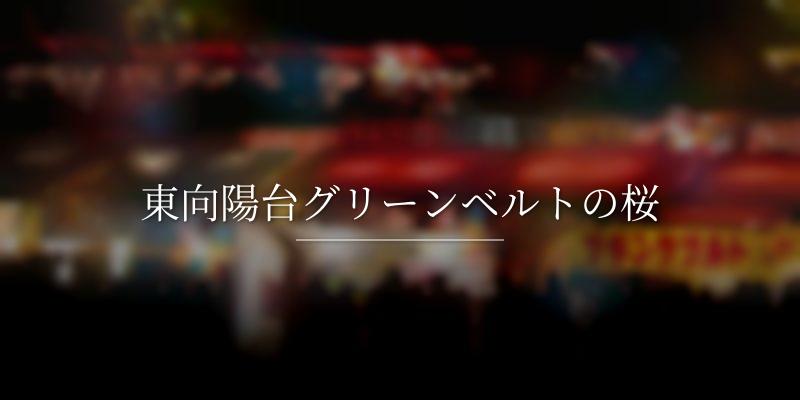 東向陽台グリーンベルトの桜
