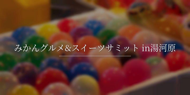 みかんグルメ&スイーツサミット in湯河原
