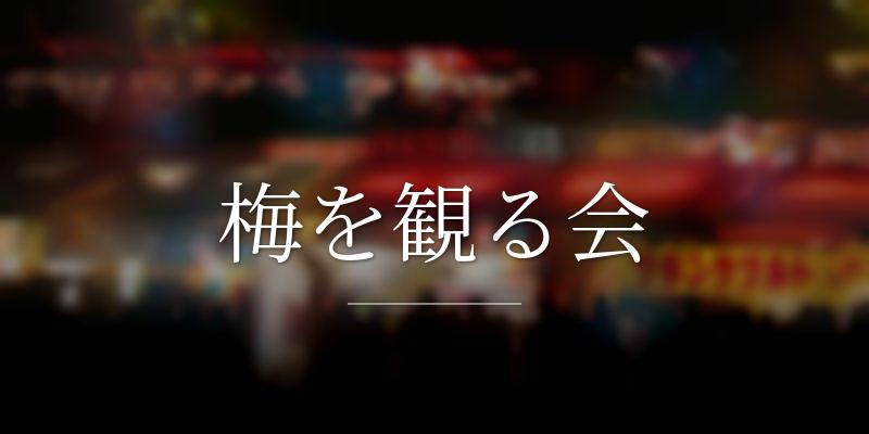 梅を観る会