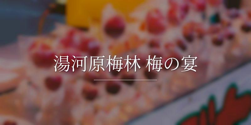 湯河原梅林 梅の宴