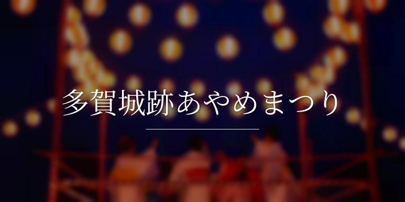多賀城跡あやめまつり