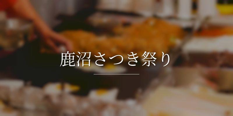 鹿沼さつき祭り
