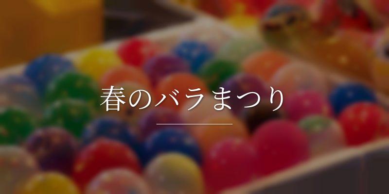 春のバラまつり