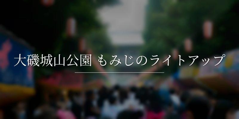 大磯城山公園 もみじのライトアップ