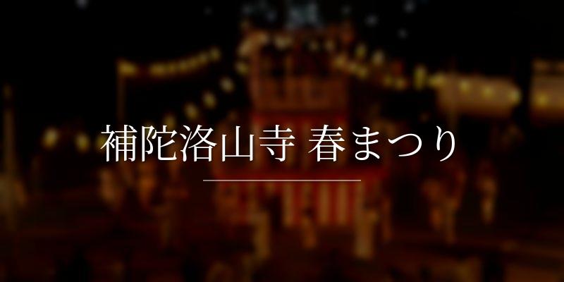 補陀洛山寺 春まつり