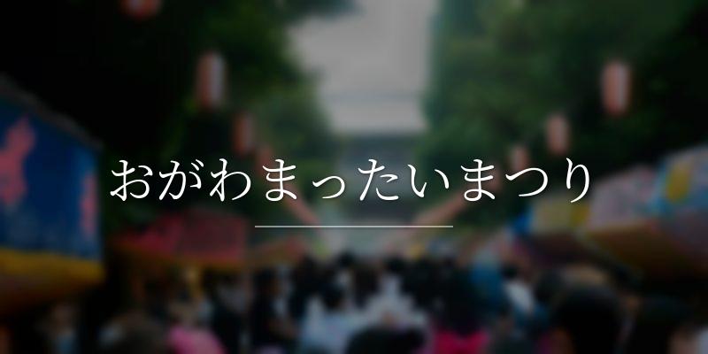 おがわまったいまつり