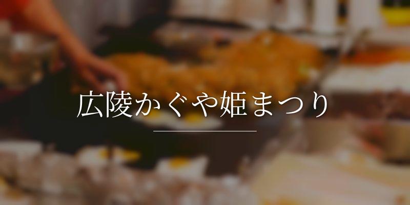 広陵かぐや姫まつりの画像