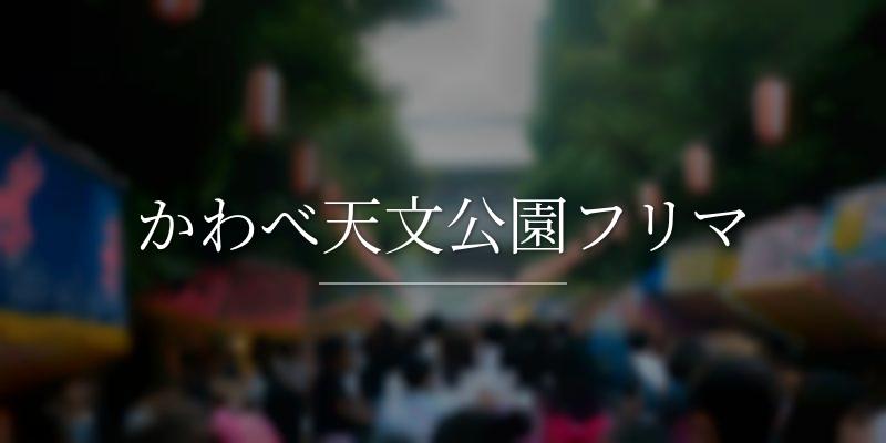 かわべ天文公園フリマ