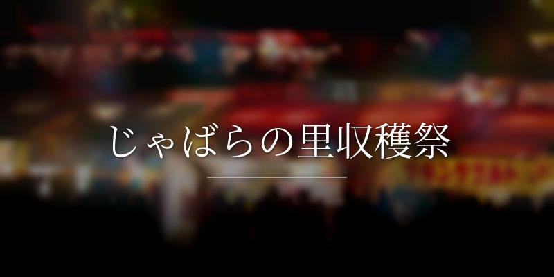 じゃばらの里収穫祭