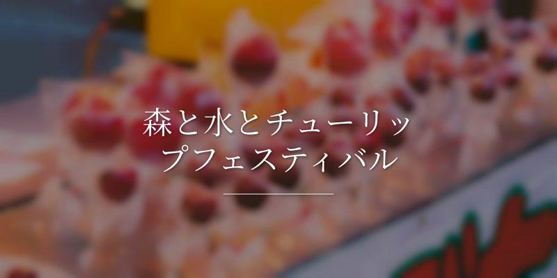 森と水とチューリップフェスティバル