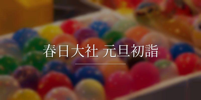春日大社 元旦初詣