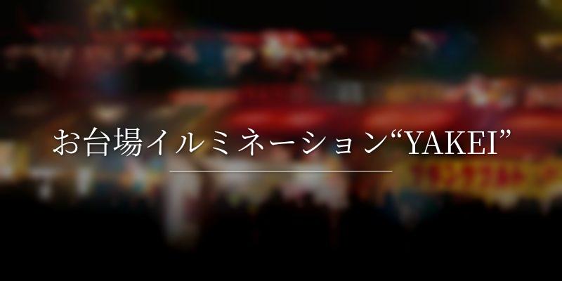 お台場イルミネーション“YAKEI” 