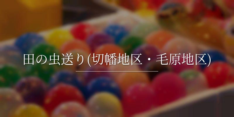 田の虫送り(切幡地区・毛原地区)