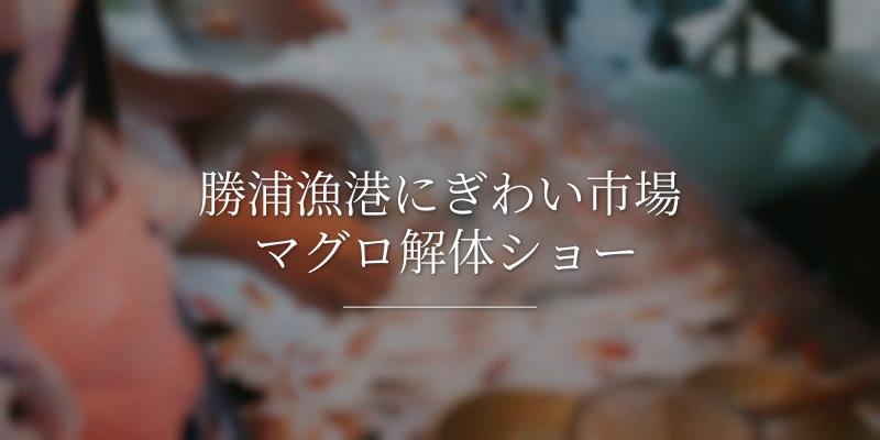 勝浦漁港にぎわい市場 マグロ解体ショー