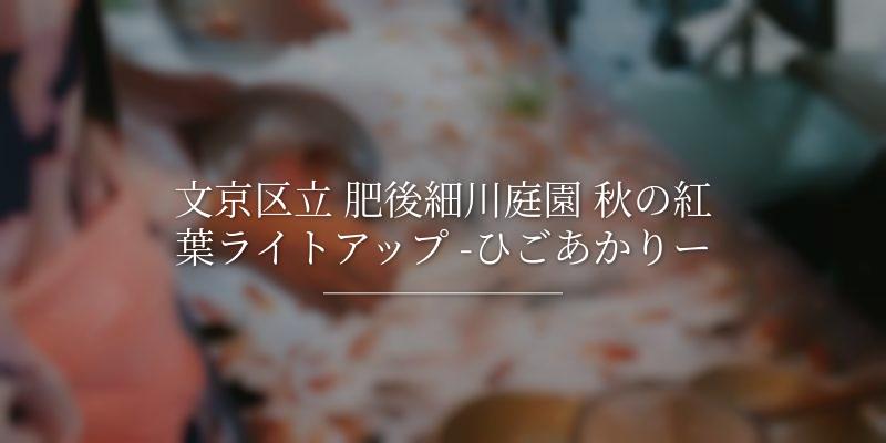 文京区立 肥後細川庭園 秋の紅葉ライトアップ -ひごあかりー